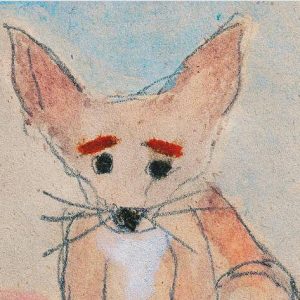 Reseña de Virginia Cano (2024) SUSI. Pequeña oda al contacto. Buenos Aires, Galerna.