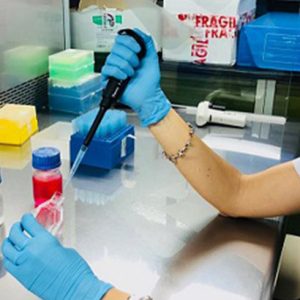 Estudian en la UNNE el potencial efecto anticancerígeno de la yerba mate